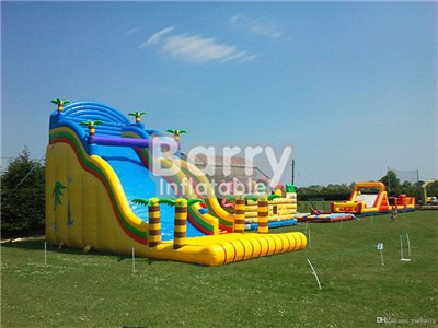 OEM/ODM Jungle Theme Tropical Palm Inflatable Slide On Lawn BY-DS-031